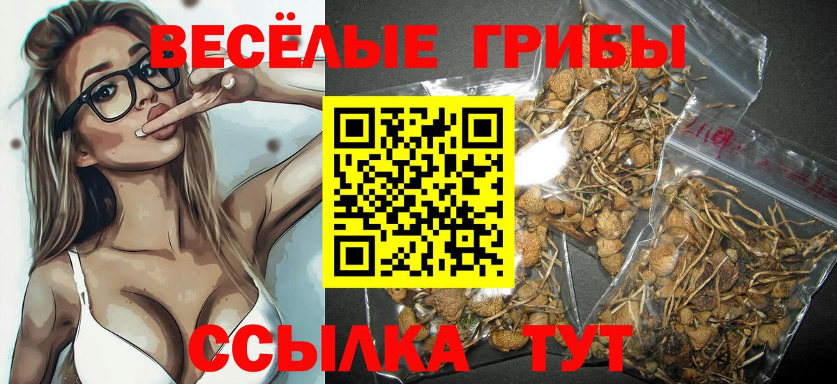 Владивосток  Псилоцибиновые грибы мицелий  Псилоцибиновые грибы мицелий  Вход с VPN 