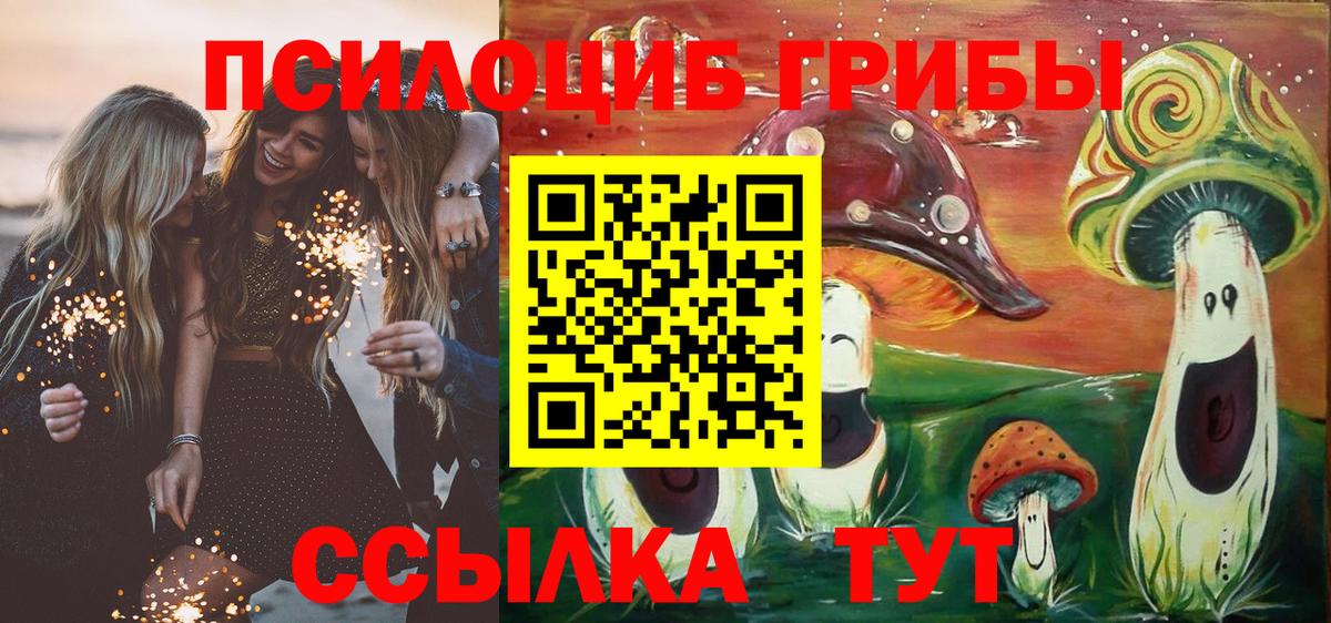 Галлюциногенные грибы GOLDEN TEACHER Владивосток